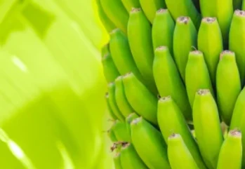 Muz Kabızlığa İyi Gelir mi?