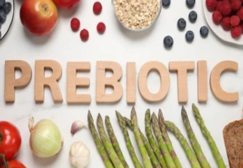 Prebiyotik Besinler Nelerdir?