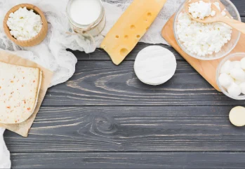 Probiyotik Beslenme Nedir? Probiyotik Besinler Nelerdir?