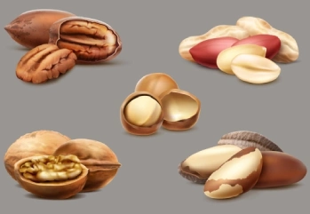 Bağışıklık Güçlendirici Kuruyemişler Listesi